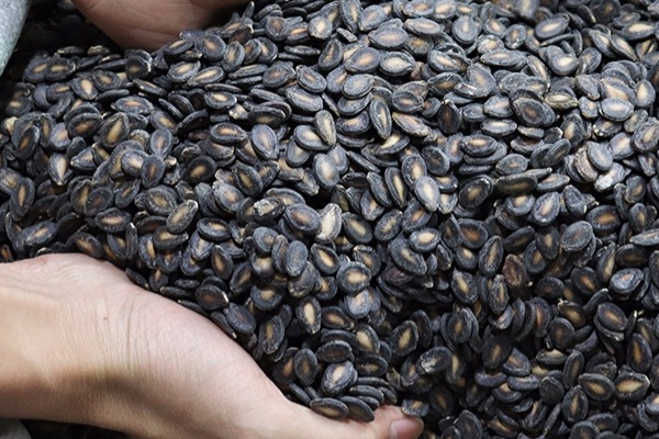 干西瓜子怎么煮,西瓜干的制作方法