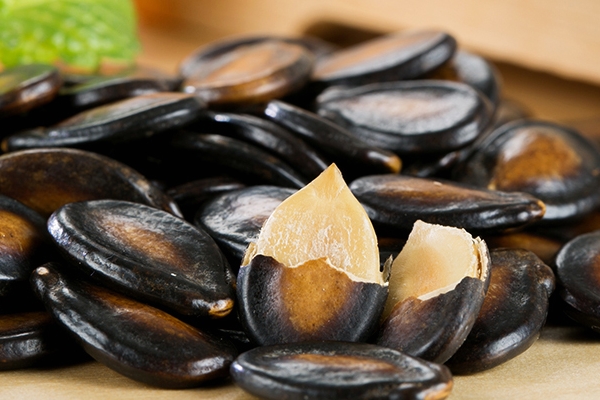 西瓜的小知识,西瓜子有什么用