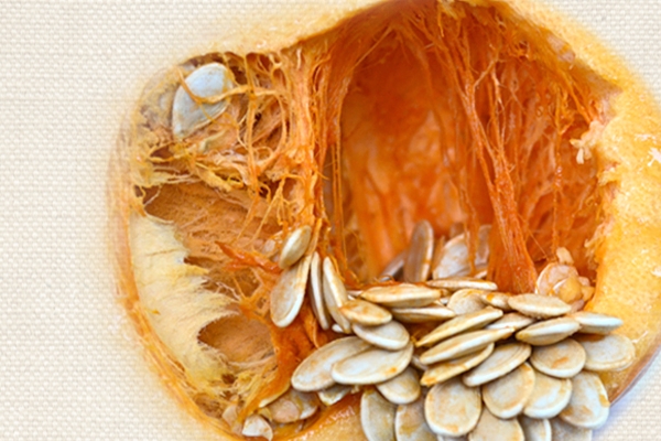 什么是南瓜子,食用南瓜子