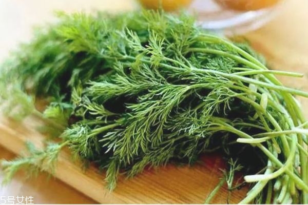 冬季蔬菜时令蔬菜有哪些,冬天适合种什么蔬菜