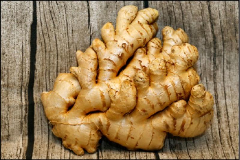 生姜预防感冒,生姜水防感冒 生姜预防感冒,生姜水防感冒