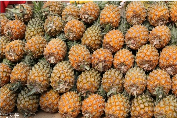 自己在家种菠萝的方法,菠萝在家里可以怎么种 自己在家种菠萝的方法,菠萝在家里可以怎么种