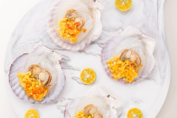 扇贝的品种,扇贝品种和图片大全