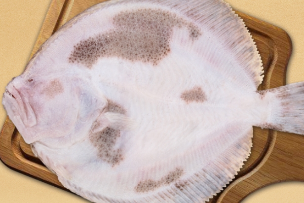 多宝鱼的禁忌,多宝鱼怎么吃好 多宝鱼的禁忌,多宝鱼怎么吃好