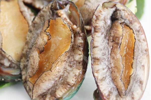 鲍鱼哪里的最有名,鲍鱼的产地在哪里