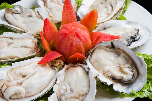 生蚝小知识,生蚝知识普及