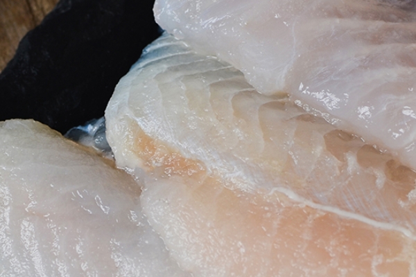 巴沙鱼和龙利鱼为什么没有刺,龙利鱼为什么没有刺