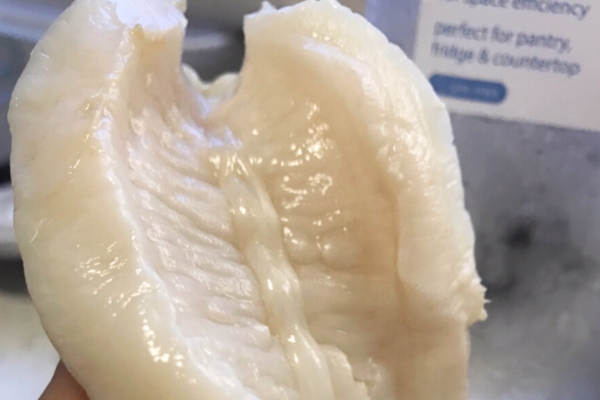 鱼胶小知识,鱼胶有什么用