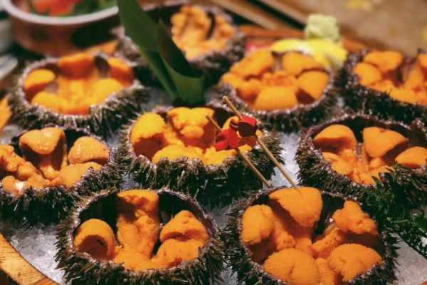 海胆小知识,海胆的本领