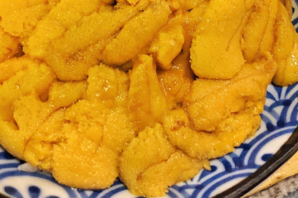 海胆的营养价值及功效和作用,海胆的营养价值及功效和作用禁忌