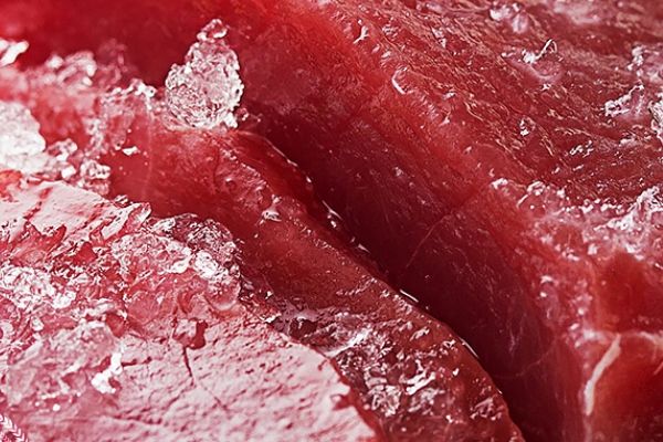 金枪鱼罐头哪个牌子好吃,金枪鱼罐头用的是什么金枪鱼