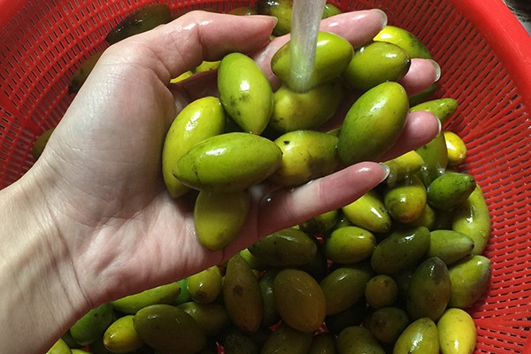 橄榄有什么用,橄榄咋食用