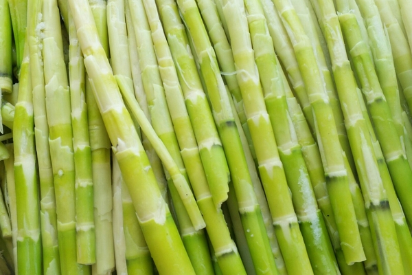 冬笋怎么切片,冬笋怎么切丝不碎