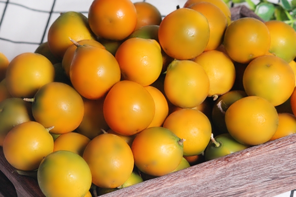 冰糖蒸金桔的食用禁忌,金桔的食用禁忌 冰糖蒸金桔的食用禁忌,金桔的食用禁忌