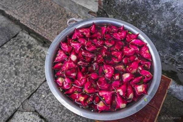 菱角可以放冰箱保存吗(菱角可以放冰箱保存吗)