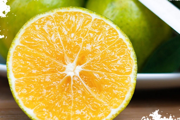 正宗皇帝柑,皇帝柑价格多少钱一斤 正宗皇帝柑,皇帝柑价格多少钱一斤