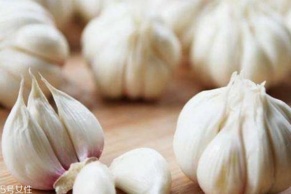 怎么判断食物发霉,食物发霉的条件是什么