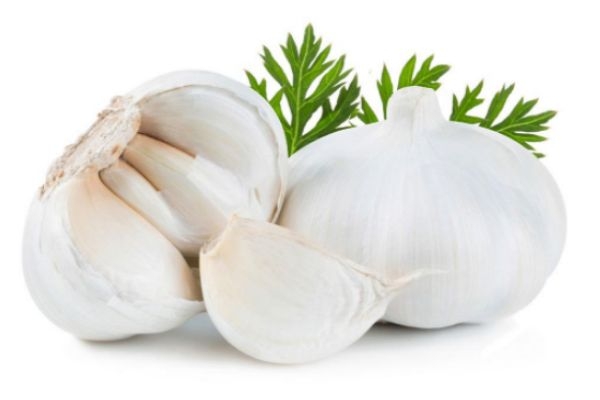 大蒜怎么保存不发芽?6种妙招帮你解决!,大蒜怎么保存不发芽不干瘪