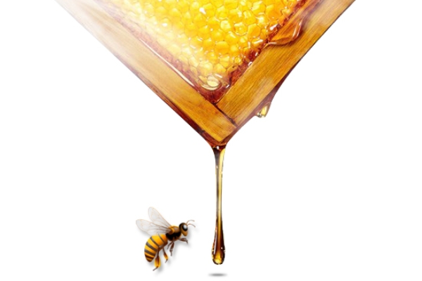 洋槐蜜如何鉴别,洋槐蜜怎么鉴别 洋槐蜜如何鉴别,洋槐蜜怎么鉴别