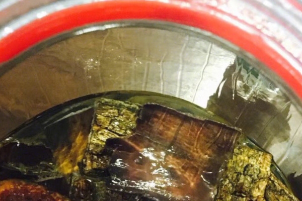 药酒有什么用,药酒的特点及饮用禁忌