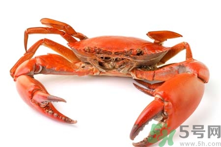 冻螃蟹怎么解冻(冻螃蟹怎么解冻好吃) 冻螃蟹怎么解冻(冻螃蟹怎么解冻好吃)