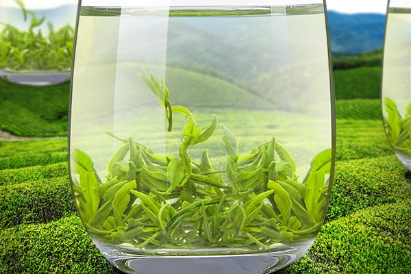 贫血的人多喝绿茶,患贫血的人宜多喝绿茶正确还是错误