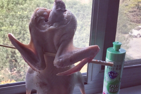 烤鸭小知识,关于烤鸭的知识 烤鸭小知识,关于烤鸭的知识