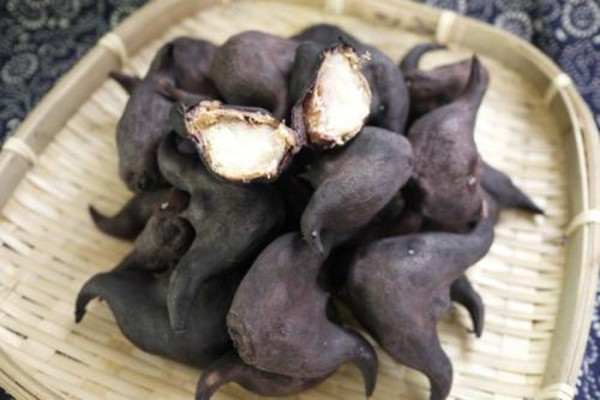 吃菱角有什么禁忌(吃菱角有什么禁忌不能吃)