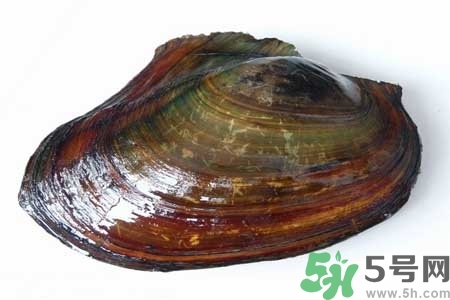 黑眼圈可以采取按摩的方法去除(黑眼圈可以通过按摩去除吗)