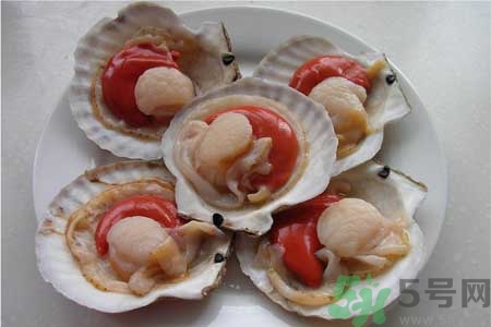 活养扇贝的选购(扇贝怎么养活)