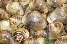 注意防晒去黑眼圈(防止黑眼圈护肤品)