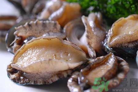 鲍鱼不适宜人群(鲍鱼不适宜人群)