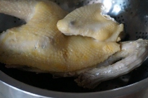 白斩鸡选什么鸡,白斩鸡用哪的肉