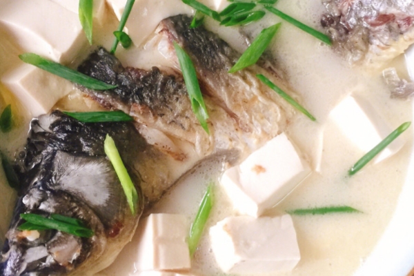 鲫鱼可以和什么炖汤,鲫鱼鱼汤怎么炖好喝又营养丰富