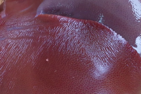 猪肝有什么,猪肝的食用方法