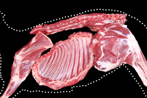 怎样去除羊肉的膻味儿,怎样去除羊肉的膻味腥味