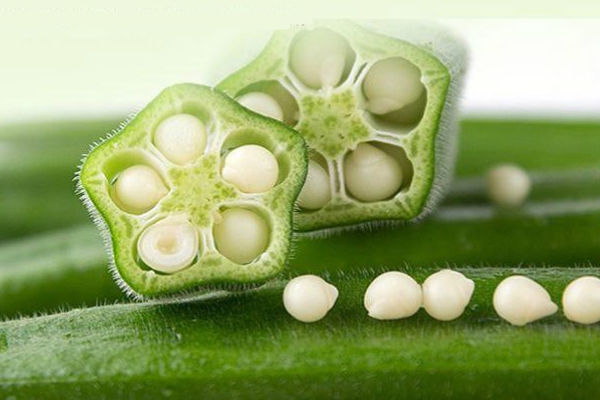 秋葵有助于缓解什么,吃秋葵好处 秋葵有助于缓解什么,吃秋葵好处