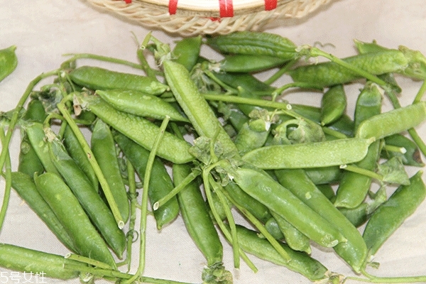 豌豆的营养价值和食用功效,豌豆的营养价值和功效及禁忌 豌豆的营养价值和食用功效,豌豆的营养价值和功效及禁忌