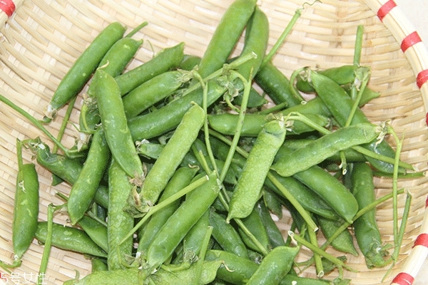 豌豆的食用价值,豌豆的食用价值是什么