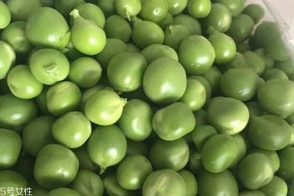豌豆要焯水吗?豌豆焯水几分钟?,豌豆要焯水吗? 豌豆要焯水吗?豌豆焯水几分钟?,豌豆要焯水吗?