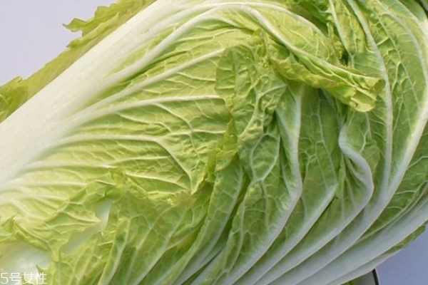 孕妇可以吃大白菜吗?,孕妇可以吃什么青菜 孕妇可以吃大白菜吗?,孕妇可以吃什么青菜