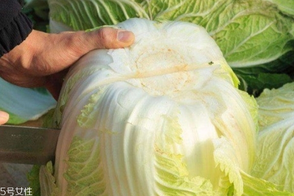 炒大白菜窍门,如何炒大白菜