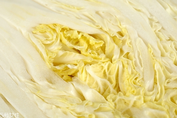 大白菜小知识,小白菜的知识