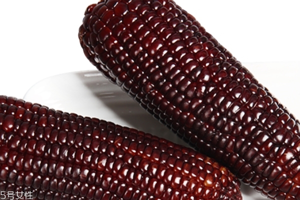 市面上的甜玉米是转基因吗,海南甜玉米是转基因吗 市面上的甜玉米是转基因吗,海南甜玉米是转基因吗