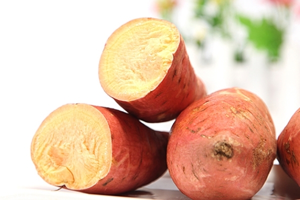 红薯小知识,红薯百科知识