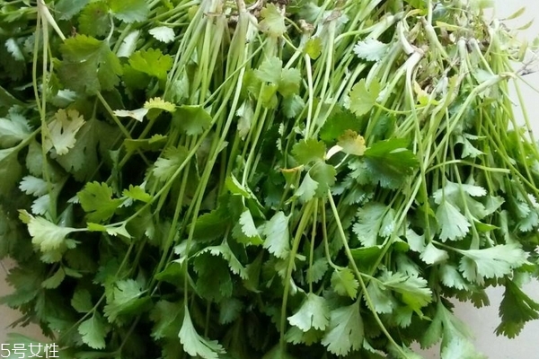 香菜小知识,香菜的吃法有几种
