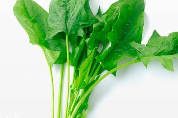菠菜的食用方法和禁忌,菠菜的做菜方法
