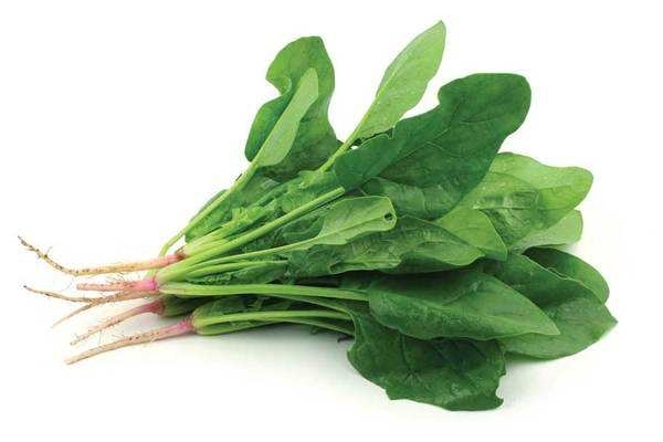 菠菜的营养成分含量表,菠菜的营养成分和功效