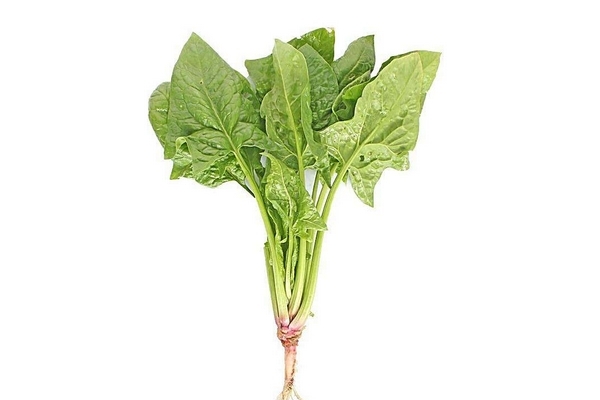 菠菜果汁的做法大全,西红柿菠菜汁