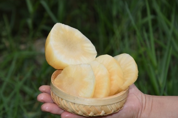 雪莲果裂开可以吃吗,雪莲果开裂能吃吗? 雪莲果裂开可以吃吗,雪莲果开裂能吃吗?